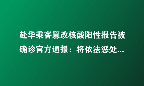 赴华乘客篡改核酸阳性报告被确诊官方通报：将依法惩处！-飞外
