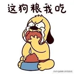 哈士奇吃什么狗粮好？