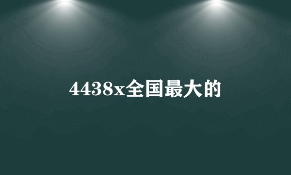 4438x全国最大的