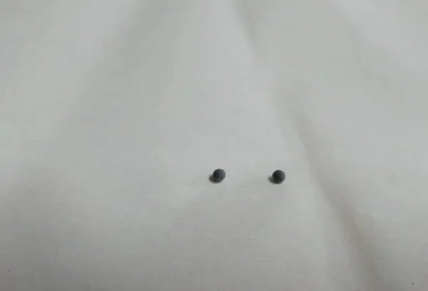 粘土手工简单小动物 制作方法