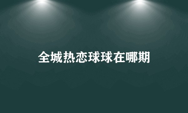 全城热恋球球在哪期