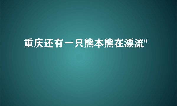 重庆还有一只熊本熊在漂流