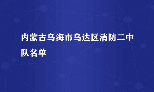 内蒙古乌海市乌达区消防二中队名单