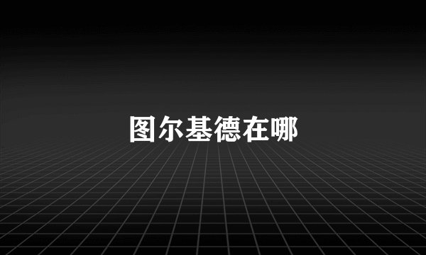 图尔基德在哪