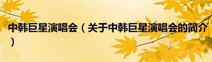 中韩巨星演唱会（关于中韩巨星演唱会的简介）