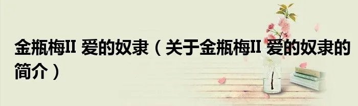 金瓶梅II 爱的奴隶（关于金瓶梅II 爱的奴隶的简介）