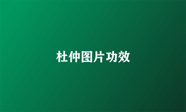 杜仲图片功效