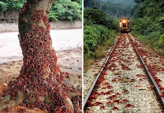 旅行无意发现这幕:近看惊呆了!（组图）
