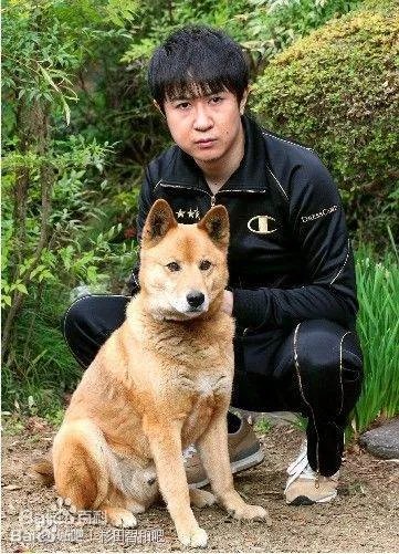 银时声优