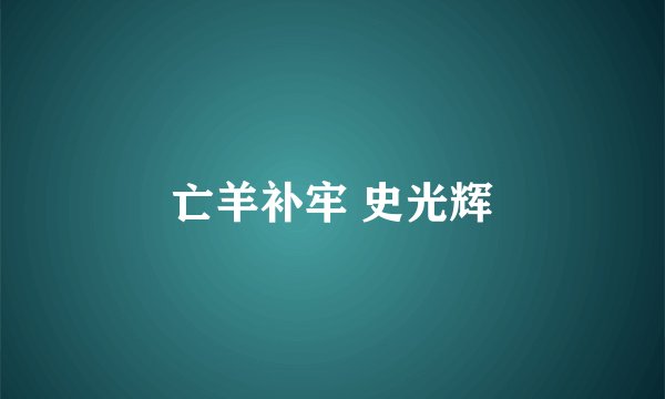 亡羊补牢 史光辉