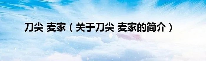 刀尖 麦家（关于刀尖 麦家的简介）