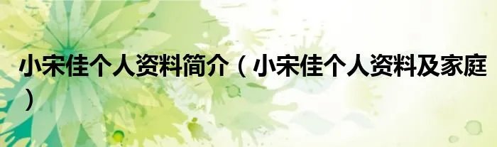 小宋佳个人资料简介（小宋佳个人资料及家庭）