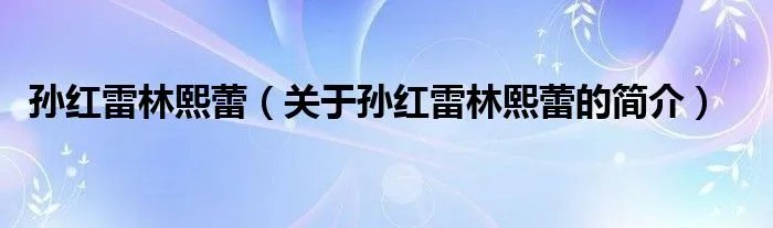 孙红雷林熙蕾（关于孙红雷林熙蕾的简介）
