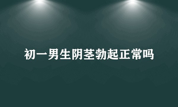 初一男生阴茎勃起正常吗