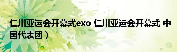 仁川亚运会开幕式exo 仁川亚运会开幕式 中国代表团）