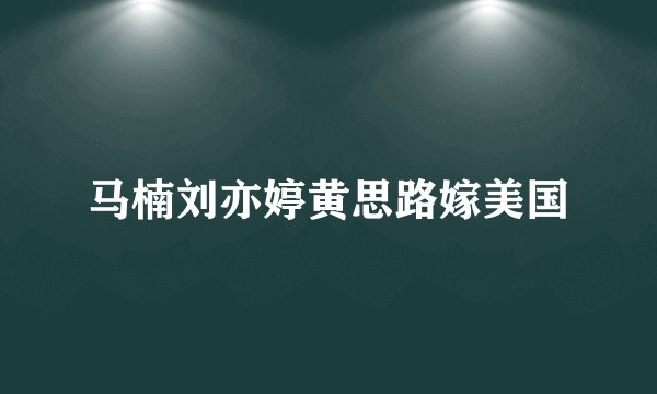 马楠刘亦婷黄思路嫁美国