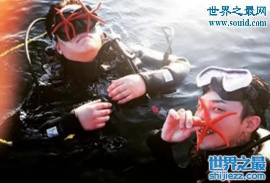 韩国总统怒批权志龙，济州岛抓海星危害生态环境 