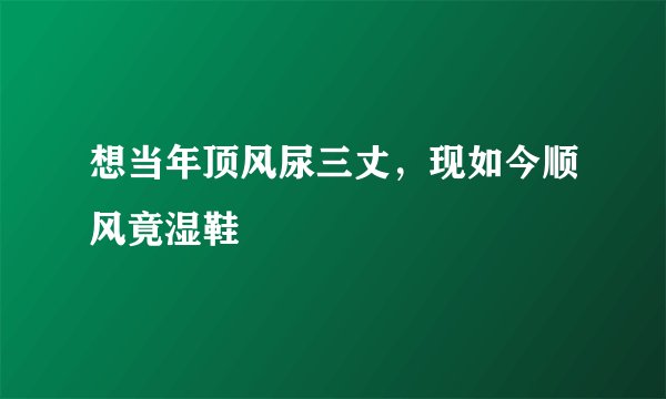 想当年顶风尿三丈,现如今顺风竟湿鞋
