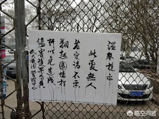 男子武大校园剧烈摇动樱花树,如何有效制止此类行为?