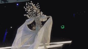 如何看待