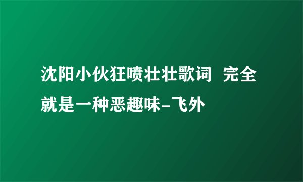 沈阳小伙狂喷壮壮歌词  完全就是一种恶趣味-飞外