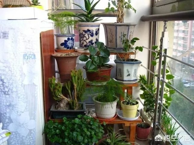 长方形的小阳台怎么打造小花园?