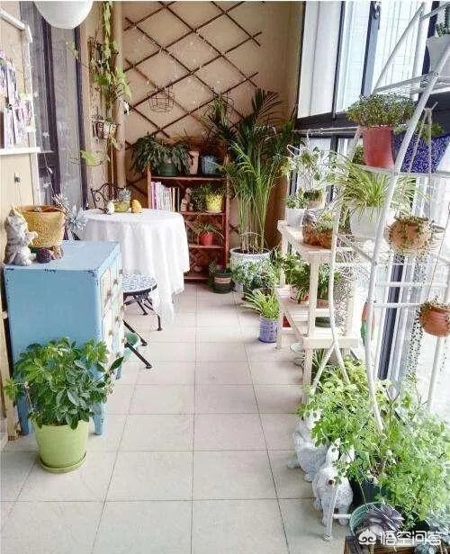 长方形的小阳台怎么打造小花园?
