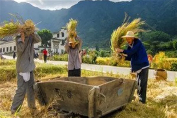电商助力农民收入实现翻番,电商为何有这能力?