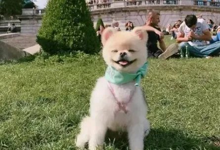 笑眯眯地什么