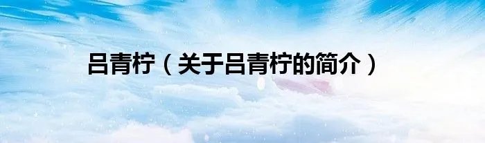 吕青柠（关于吕青柠的简介）