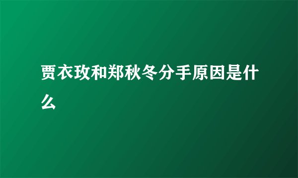 贾衣玫和郑秋冬分手原因是什么
