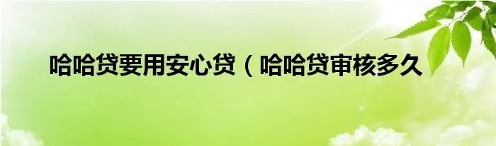 哈哈贷要用安心贷（哈哈贷审核多久