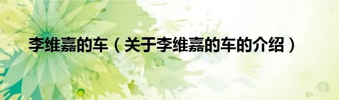 李维嘉的车（关于李维嘉的车的介绍）