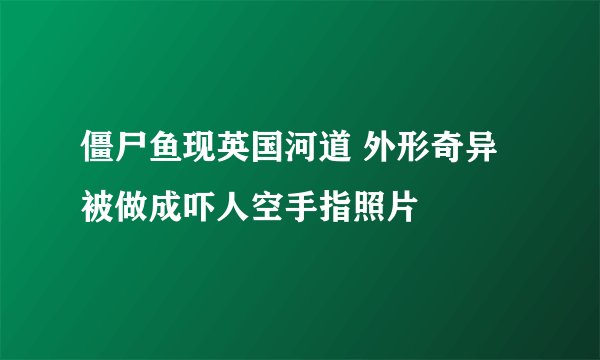 僵尸鱼现英国河道 外形奇异被做成吓人空手指照片