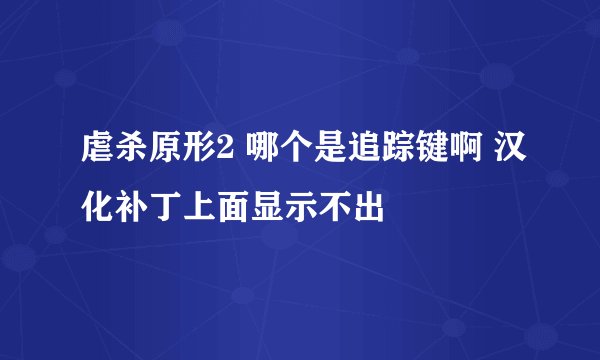 虐杀原形2 哪个是追踪键啊 汉化补丁上面显示不出