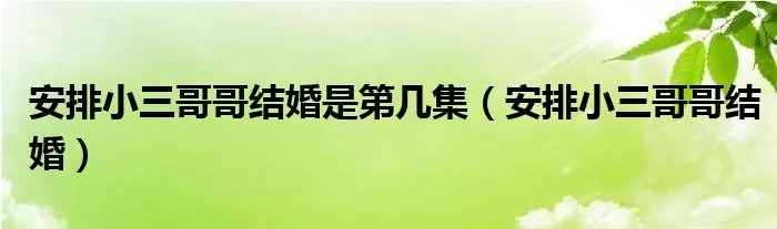 安排小三哥哥结婚是第几集(安排小三哥哥结婚)