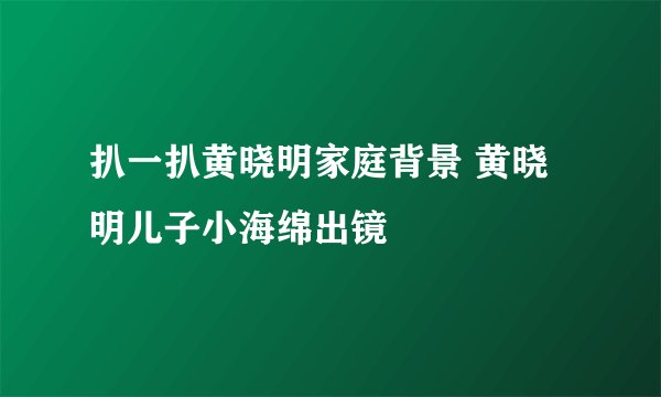 扒一扒黄晓明家庭背景 黄晓明儿子小海绵出镜