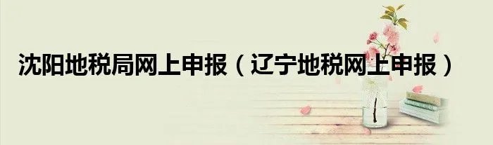 沈阳地税局网上申报(辽宁地税网上申报)