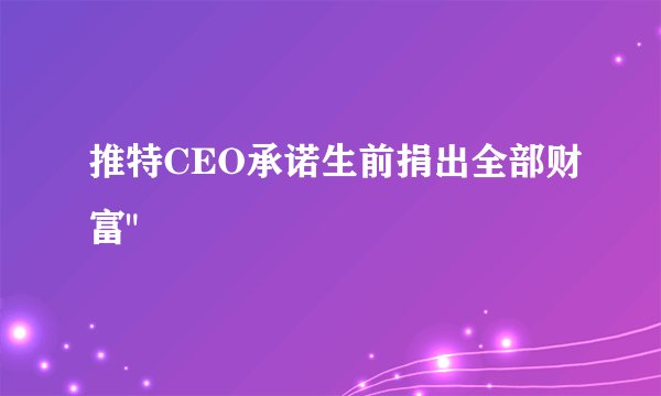 推特CEO承诺生前捐出全部财富