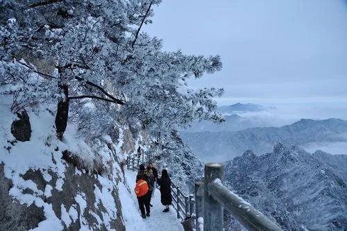 河南多景区飘起鹅毛大雪 提前开启瑞雪兆丰年