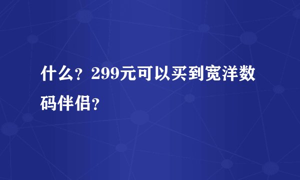 什么？299元可以买到宽洋数码伴侣？