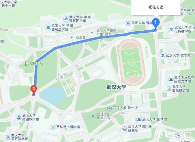 男子武大校园剧烈摇动樱花树,如何有效制止此类行为?