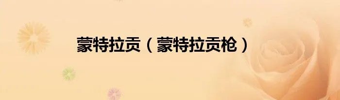 蒙特拉贡（蒙特拉贡枪）