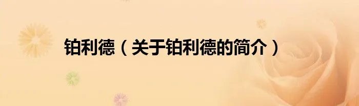铂利德（关于铂利德的简介）