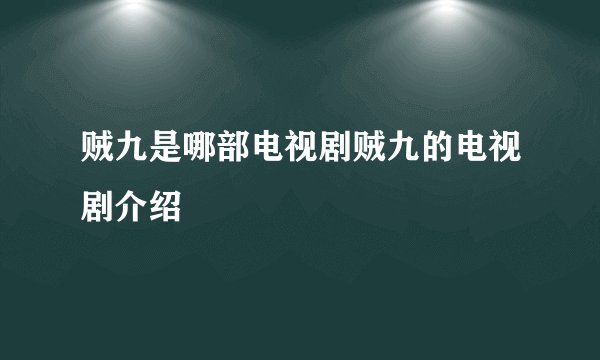 贼九是哪部电视剧贼九的电视剧介绍