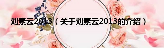 刘素云2013（关于刘素云2013的介绍）