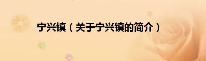 宁兴镇（关于宁兴镇的简介）