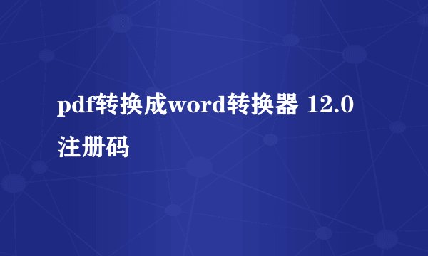 pdf转换成word转换器 12.0注册码