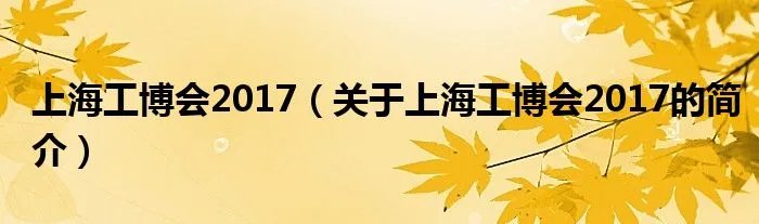 上海工博会2017（关于上海工博会2017的简介）