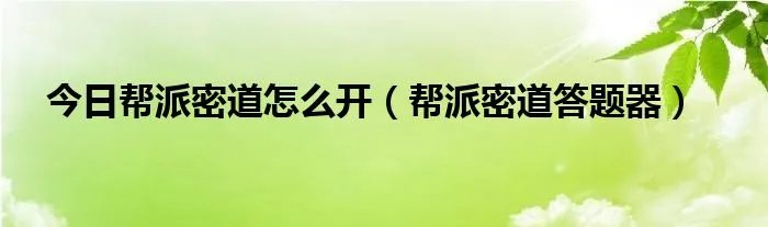 今日帮派密道怎么开（帮派密道答题器）